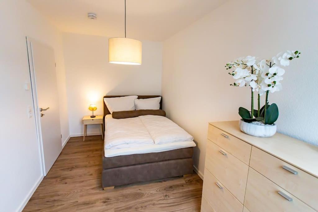 Grosse Cozy 4-Zi-Whg Mit Balkon Naehe Europa Park Und Rulantica Apartman Lahr/Schwarzwald Kültér fotó