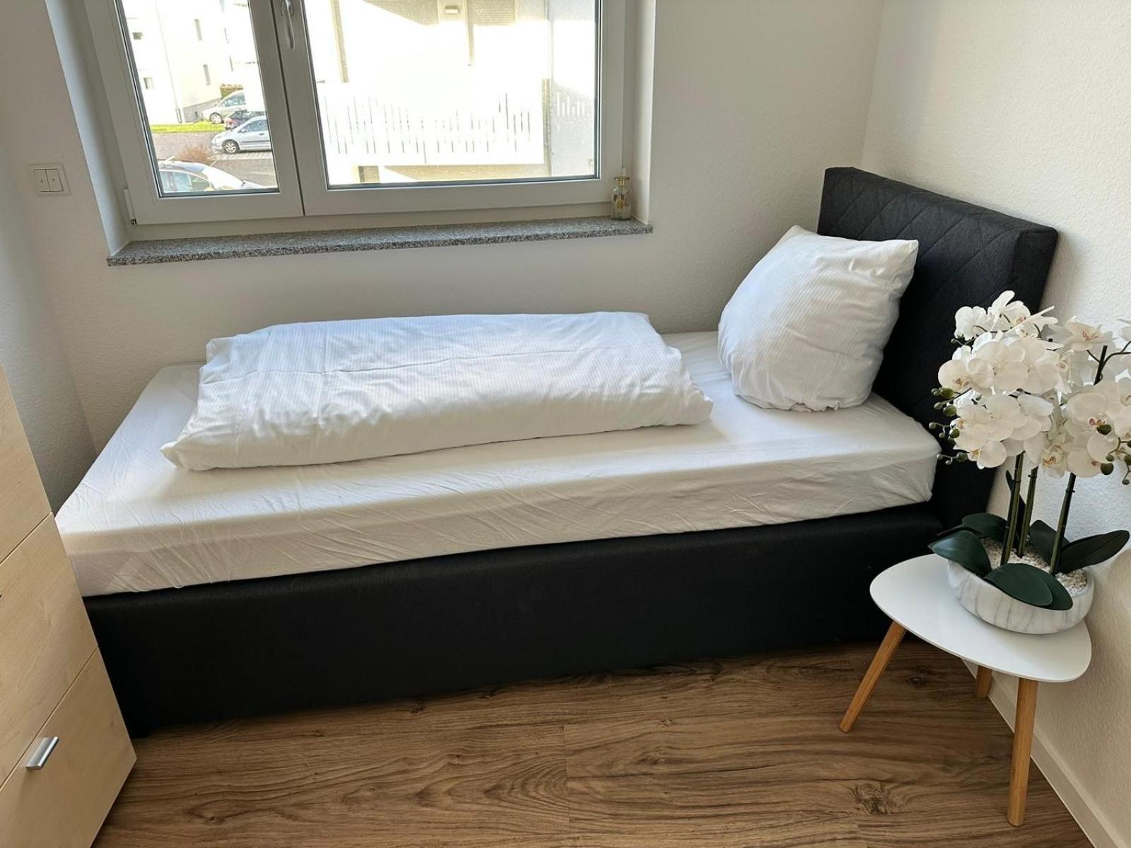 Grosse Cozy 4-Zi-Whg Mit Balkon Naehe Europa Park Und Rulantica Apartman Lahr/Schwarzwald Kültér fotó